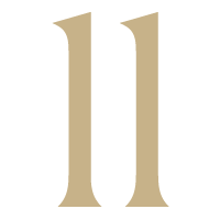 icon 11